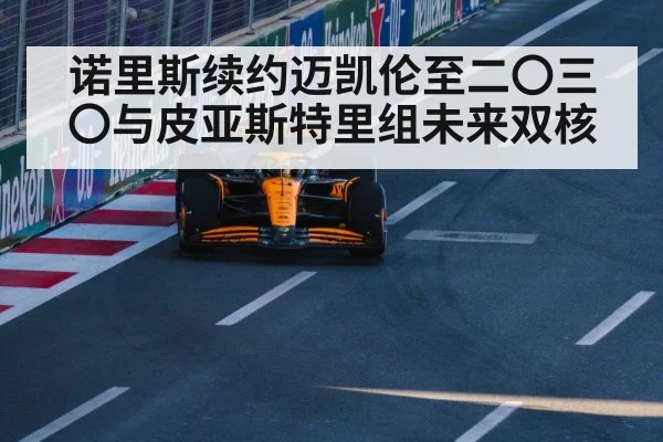 Lando Norris McLaren celebration