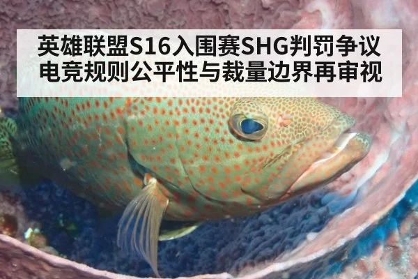 英雄联盟S16入围赛SHG判罚争议 电竞规则公平性与裁量边界再审视